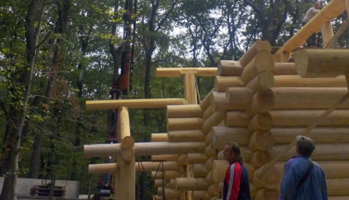Assembling a log building