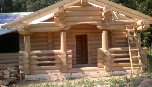 Log bathhouse